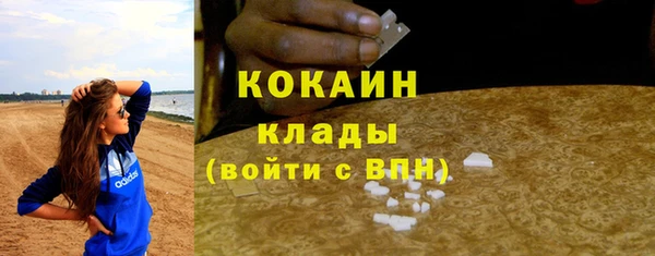 ГАЛЛЮЦИНОГЕННЫЕ ГРИБЫ Балахна