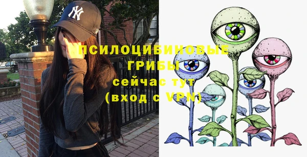 ГАЛЛЮЦИНОГЕННЫЕ ГРИБЫ Балахна